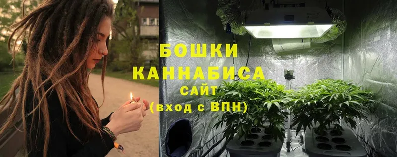 магазин продажи   Уфа  Бошки марихуана Ganja 